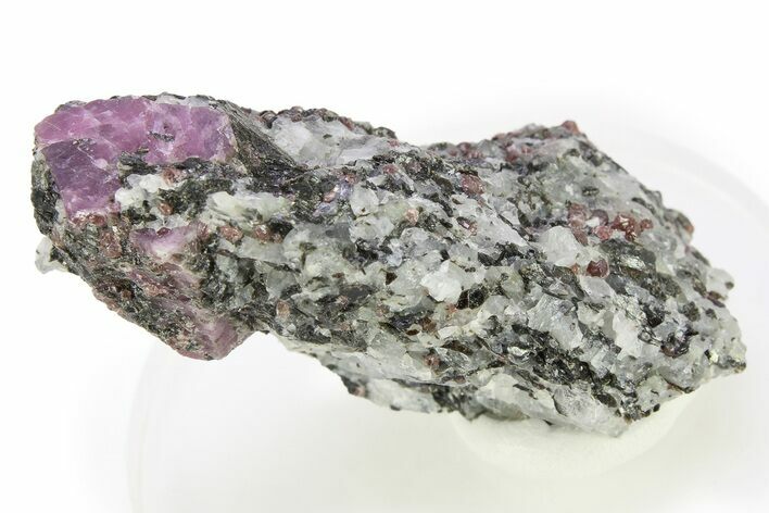 Fluorescent Ruby and Almandine Garnet in Matrix - Russia #283161